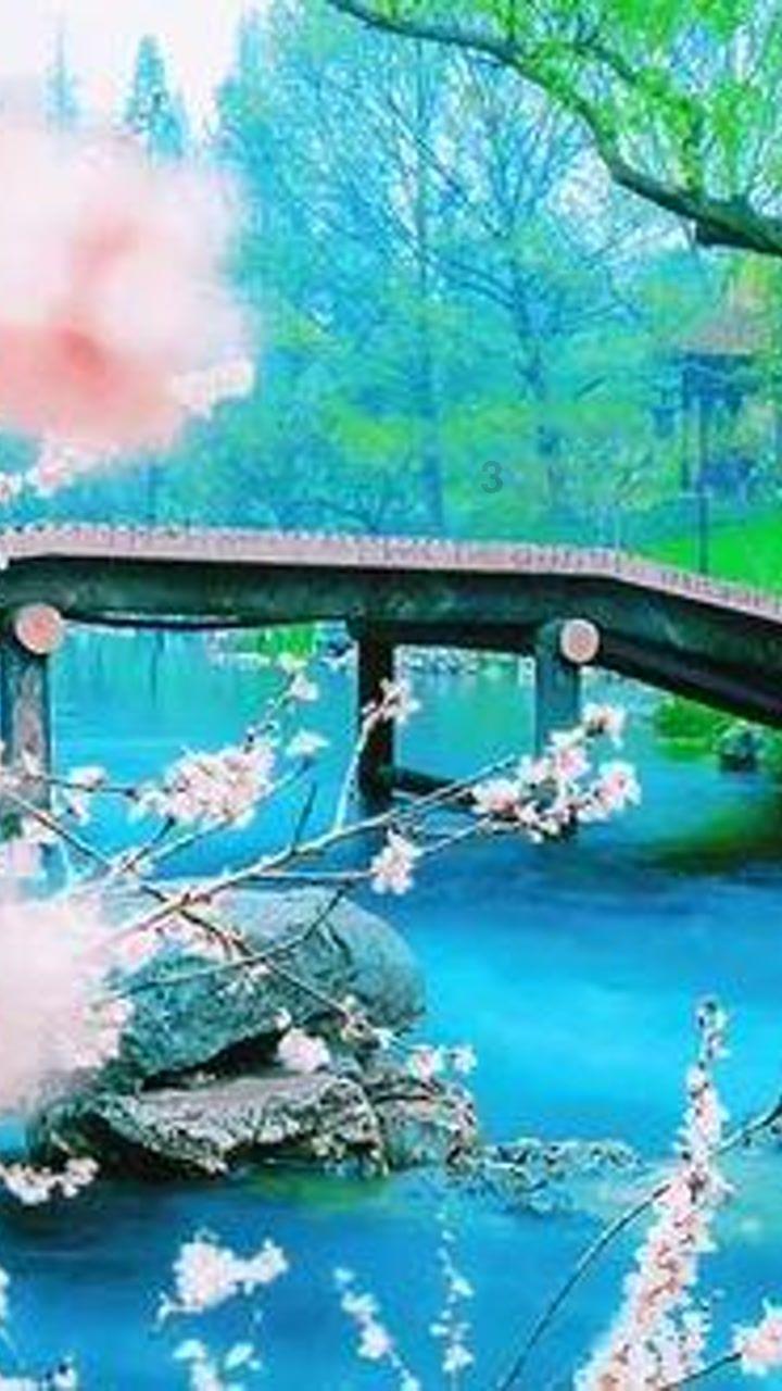 现代保险杠上挂牌照的塑料孔烂了怎么办呀？